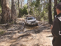 Pic-65 - 4WDing across Davies Plain